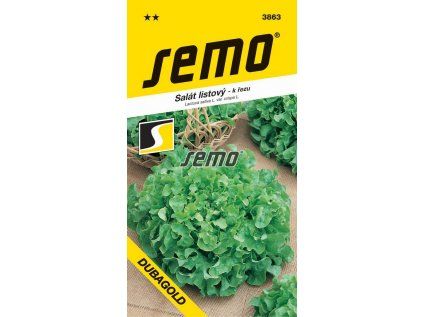 3863 semo zelenina salat listovy dubagold