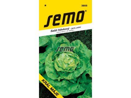 3805 semo zelenina salat hlavkovy kral maje 1