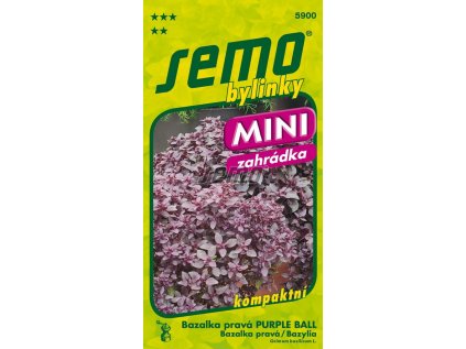 Semobazalka prava purple ball
