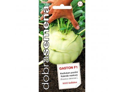 GASTON F1 40 ks Kedluben