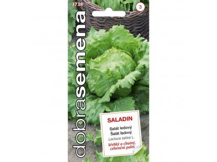 saladin 06 g