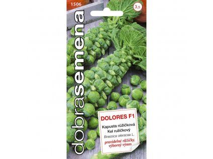 dolores f1 50 s