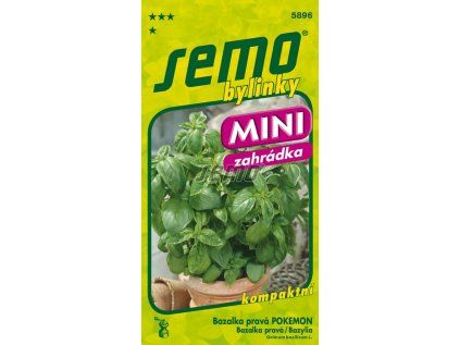Semo bylinky bazalka prava
