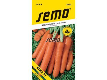 2262 semo zelenina mrkev obecna jitka