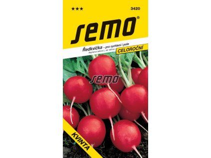 3420 semo zelenina redkvicka kvinta