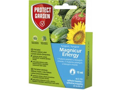 magnicur energy
