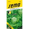 3857 semo zelenina salat hlavkovy ledano