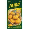 9217 semo kvetiny letnicky tykev okrasna jack be little