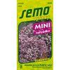 Semobazalka prava purple ball