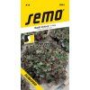 3861 semo zelenina salat listovy dubared