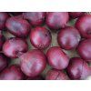 p0551 semo zelenina cibule kuchynska karmen3