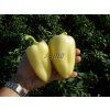 p2529 semo zelenina paprika rocni amyka f14