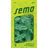 Semo bylinky bazalka prava dark green