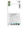 Semo bylinky bazalka prava lettuce leaf1