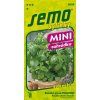 Semo bylinky bazalka prava