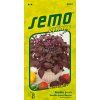 Semo bylinky bazalka prava purple opaal