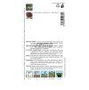 Semo bylinky bazalka prava purple opaal1