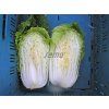 p4406 semo zelenina zeli pekingske concord f1 (1)