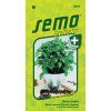 5954 semo bylinky stevie sladka compact sweet